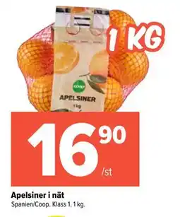 Coop Extra Apelsiner i nät erbjuda