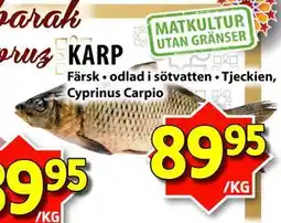 Matvärlden Tensta KARP erbjuda