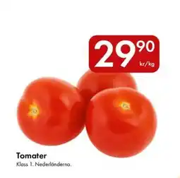 Snabbgross Tomater erbjuda