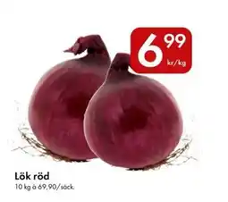 Snabbgross Lök röd erbjuda