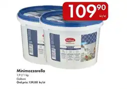 Snabbgross GALBANI Minimozzarella erbjuda