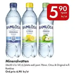 Snabbgross RAMLÖSA Mineralvatten erbjuda