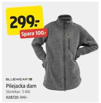 Jula Pilejacka dam erbjuda
