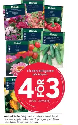 Rusta Weibull fröer erbjuda