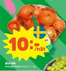 Stora Coop Gul lök erbjuda