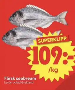 Nya Pulsen Färsk seabream erbjuda
