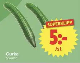 Nya Pulsen Gurka erbjuda