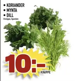 Rinkeby Matcenter Koriander • mynta • dill erbjuda