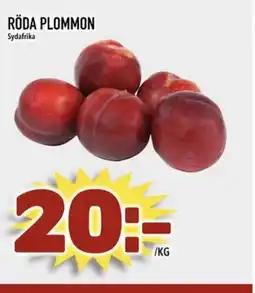 Rinkeby Matcenter Röda plommon sydafrika erbjuda