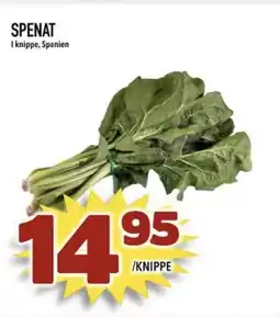 Rinkeby Matcenter Spenat i knippe, spanien erbjuda