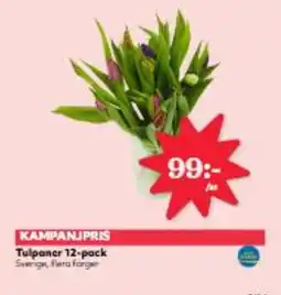 Hemköp Tulpaner 12-pack erbjuda
