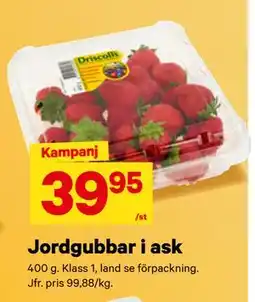 City Gross Jordgubbar i ask erbjuda