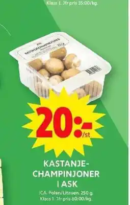 ICA Maxi Kastanje- champinjoner iask erbjuda