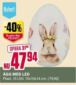 ÖoB ÄGG MED LED erbjuda