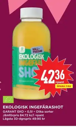 Willys EKOLOGISK INGEFÄRASHOT erbjuda