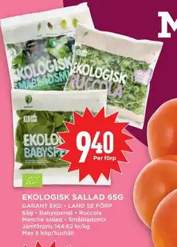 Willys EKOLOGISK SALLAD 65G erbjuda