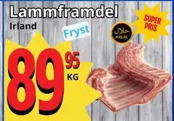 Supergrossen Lammframdel erbjuda