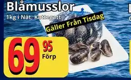 Supergrossen Blåmusslor erbjuda