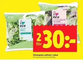 ICA Supermarket EKOLOGISKA SALLATER I PÅSE erbjuda