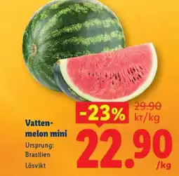 Lidl Vattenmelon mini erbjuda