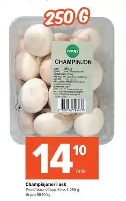 Coop Extra Champinjoner i ask erbjuda