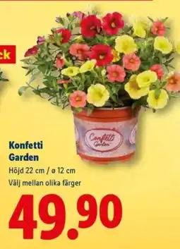 Lidl Konfetti Garden erbjuda