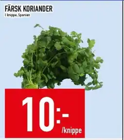 Matdax Färsk koriander erbjuda