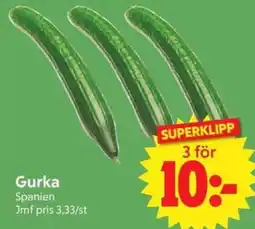 Nya Pulsen Gurka erbjuda