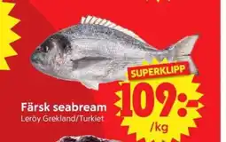 Nya Pulsen Färsk seabream erbjuda