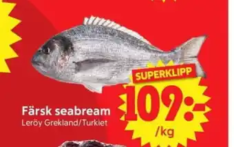 Nya Pulsen Färsk seabream erbjuda