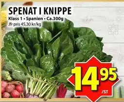 Matvärlden Tensta SPENAT I KNIPPE erbjuda