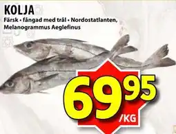 Matvärlden Tensta KOLJA erbjuda