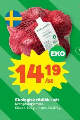 Stora Coop Ekologisk rödlök i nät erbjuda