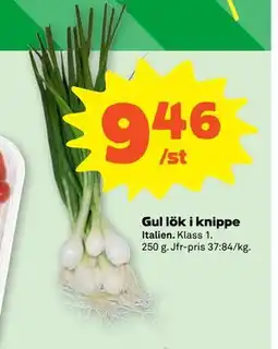 Stora Coop Gul lök i knippe erbjuda