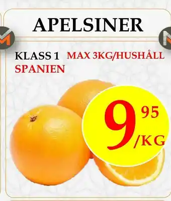 Apelsiner