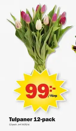 Pekås Tulpaner 12-pack erbjuda