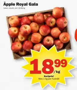 Pekås Äpple Royal Gala, Medlemspris erbjuda