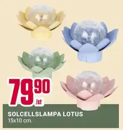 ÖoB SOLCELLSLAMPA LOTUS erbjuda