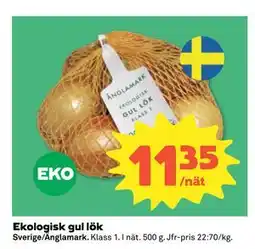 Coop Daglivs Ekologisk gul lök erbjuda