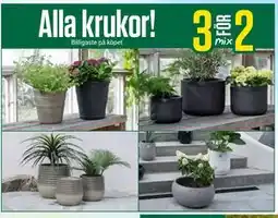 ÖoB Alla krukor! erbjuda