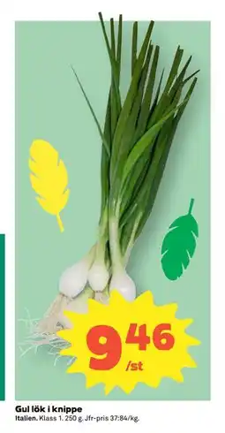 Coop Daglivs Gul lök i knippe erbjuda