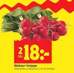 ICA Kvantum Rädisor i knippe erbjuda