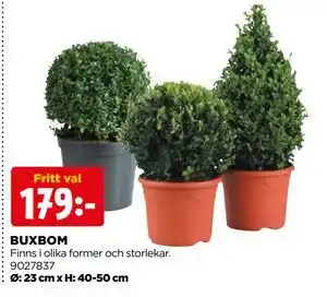Jem&Fix BUXBOM erbjuda