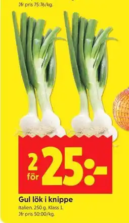 ICA Kvantum Gul lök i knippe erbjuda