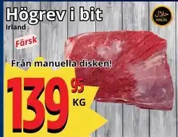 Supergrossen Högrev i bit erbjuda