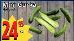 Supergrossen Mini Gurka erbjuda