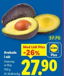Lidl Avokado i nät erbjuda