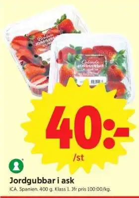 ICA Supermarket Jordgubbar i ask erbjuda