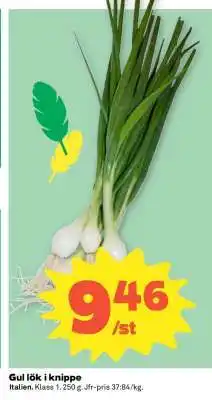 Coop GUL LÖK I KNIPPE erbjuda