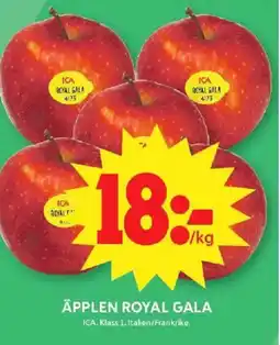 ICA Maxi ICA Äpplen royal gala erbjuda